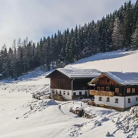 Bauernhuette Niedermaisgut Eben Im Pongau Exterior photo