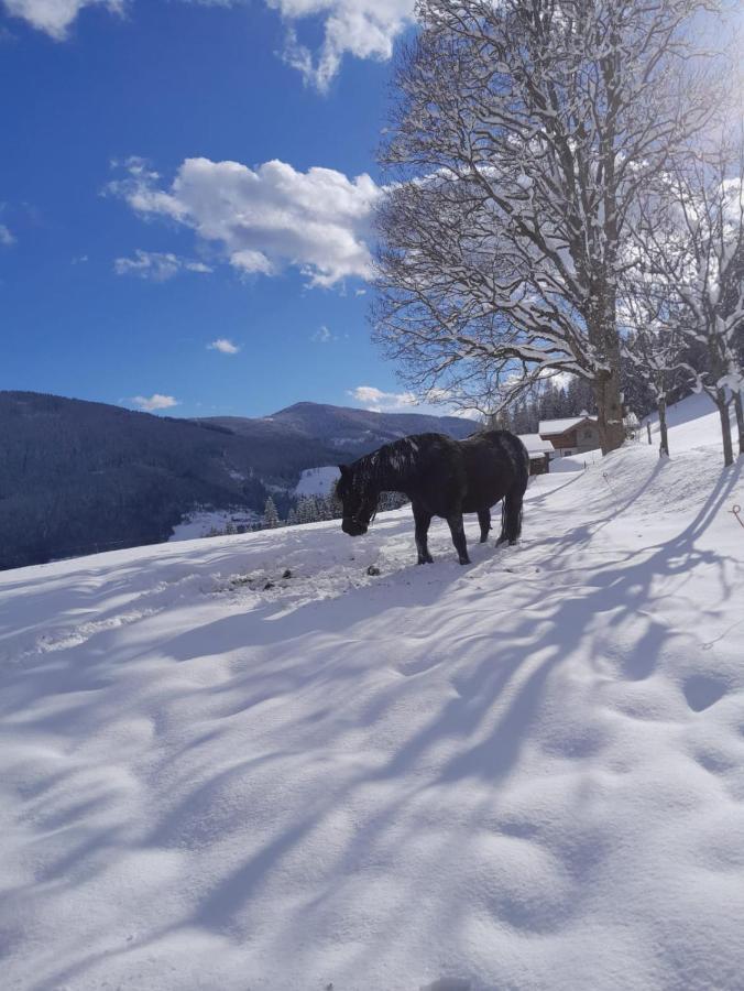 Bauernhuette Niedermaisgut Eben Im Pongau