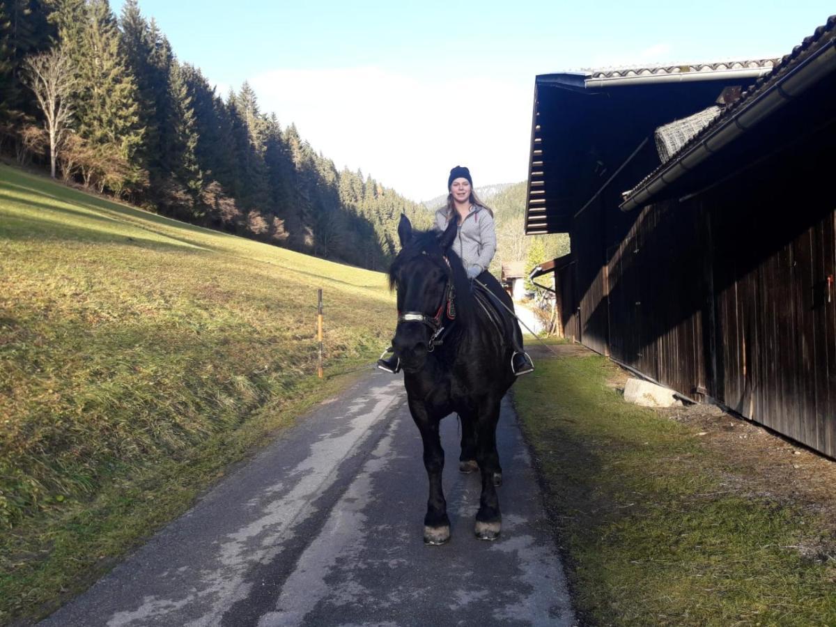 Holiday home Bauernhuette Niedermaisgut