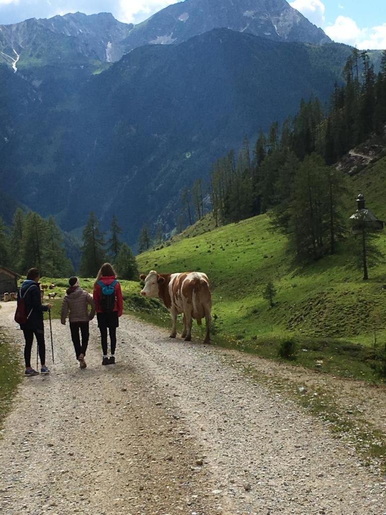 Bauernhuette Niedermaisgut * Eben Im Pongau