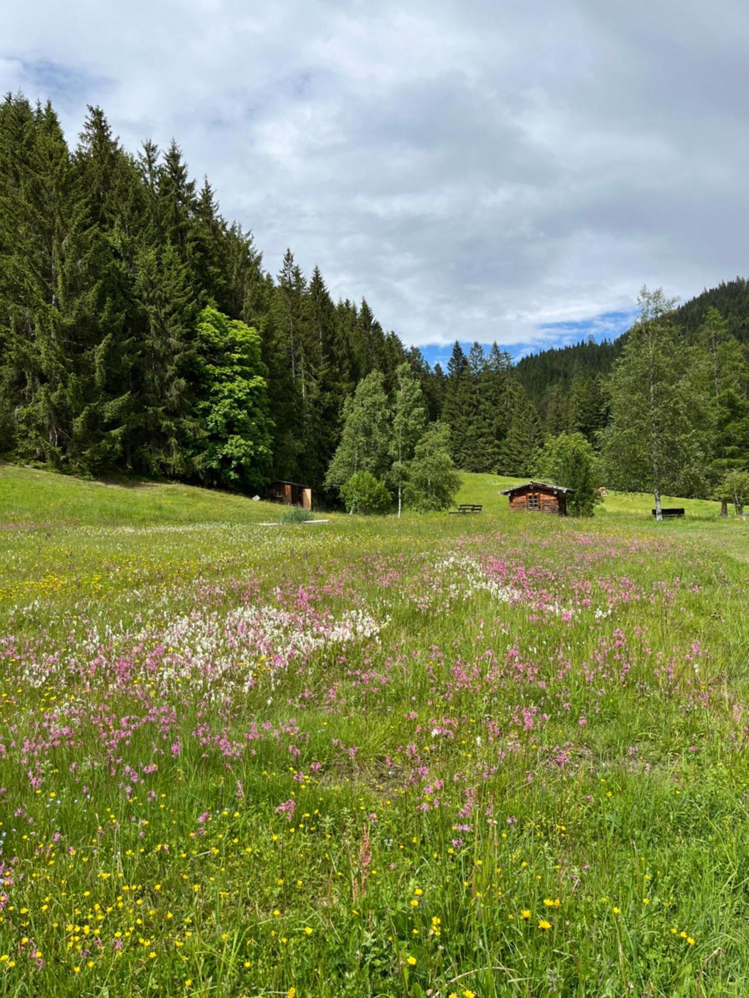 Bauernhuette Niedermaisgut
