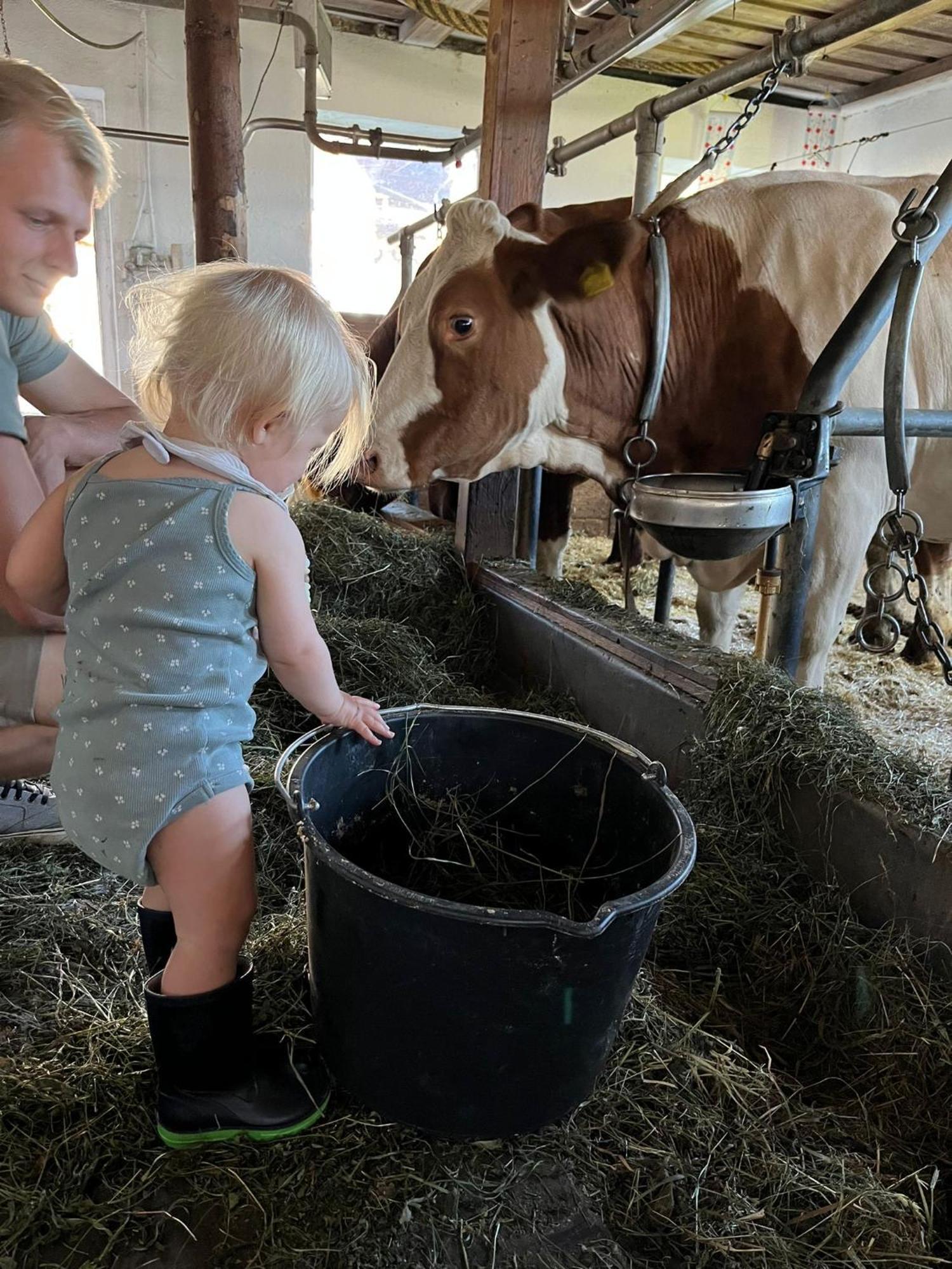 Bauernhuette Niedermaisgut Eben Im Pongau