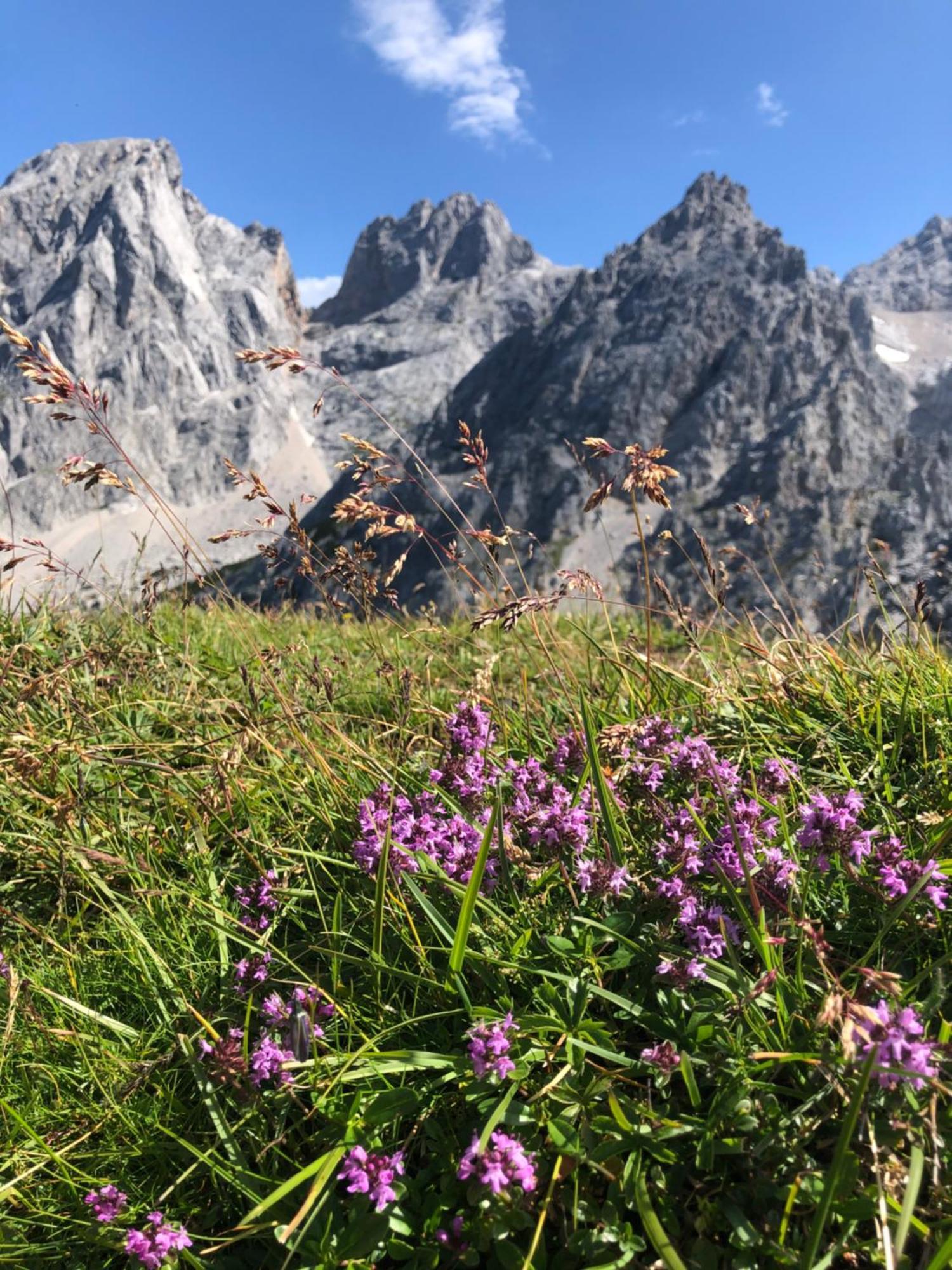 Bauernhuette Niedermaisgut * Eben Im Pongau