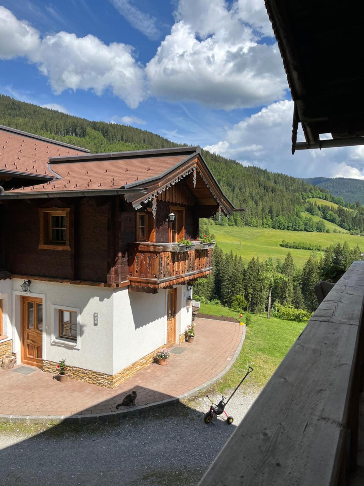 Bauernhuette Niedermaisgut Holiday home Eben Im Pongau