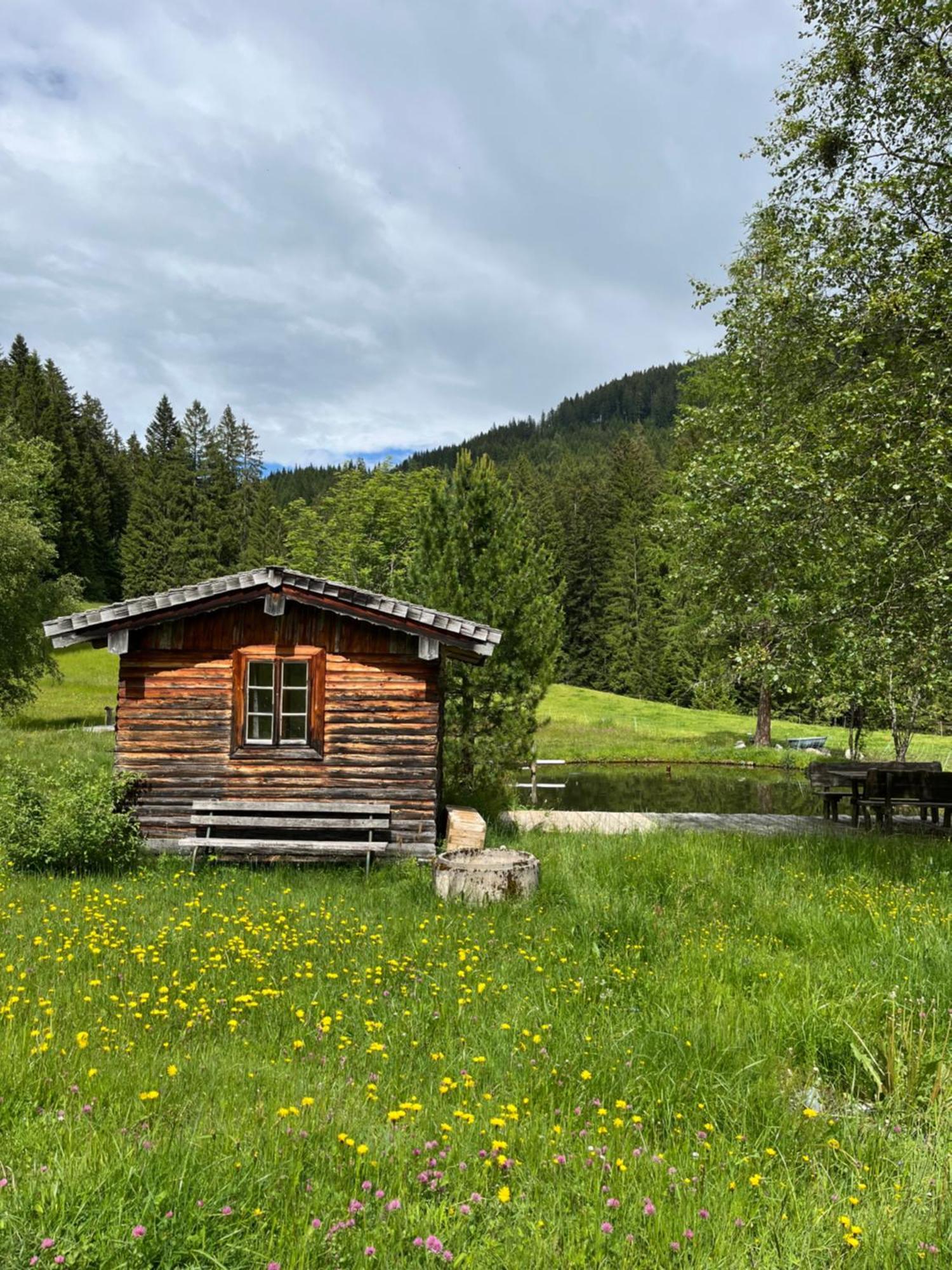 Bauernhuette Niedermaisgut Holiday home *